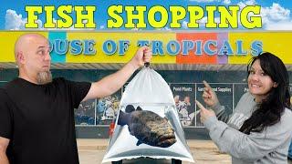 Our FAVORITE Fish Store Has Some Amazing Beginner Fish! Let's Go Shopping!