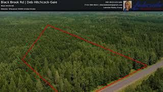 5 Acre Webster, Wisconsin Lot for Sale | Black Brook Rd | Deb Hitchcock-Gale