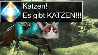 [Warframe Guides mit Zany] Adarza? Kavat? KATZE???