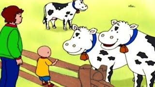 Caillou em Português  Episódios Completos  Caillou e os cachorrinhos  Desenho Animado 