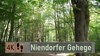 Walk in Hamburg-Niendorf  | 4K | Niendorfer Gehege