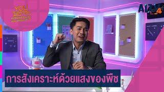 การสังเคราะห์ด้วยแสงของพืช | YOU EASYPASS เตรียมสอบเข้ามัธยมศึกษาปีที่ 1 (29 พ.ย.67)