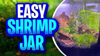 Easy Cherry Shrimp Jar Setup Tutorial - No Filter, No Heater, No CO2, No Ferts, No Water Change!