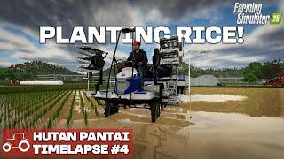 CREATING AND PLANTING RICE FIELDS!!! Hutan Pantai FS25 Timelapse Farming Simulator 25 Ep 4