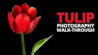  Simple flower photography, step by step.