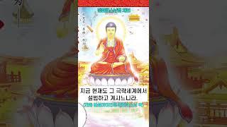 극락세계를 만화로 보는 불설아미타경 청화스님