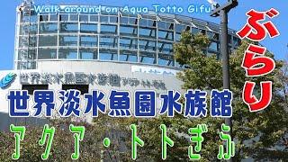 ぶらり「世界淡水魚園水族館　アクア・トトぎふ」Walk around on Aqua Totto Gifu