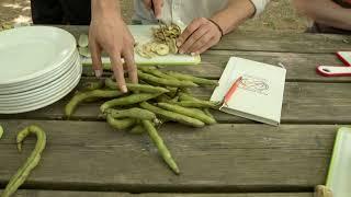 Deutsch-Französisches Zukunftswerk: Nachhaltige Ernährung in Mouans-Sartoux und Nebelschütz