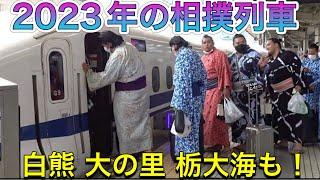 2023年版『相撲列車』名古屋場所へ向かう力士たち 1年目の大の里 白熊 栃大海も️2023/6/25 【大相撲 7月場所】saw off the SUMO TRAIN for Nagoya