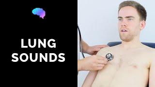 Lung sounds (respiratory auscultation sounds) | UKMLA | CPSA | PLAB 2