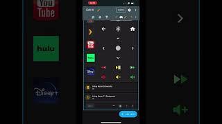Universal Remote #homeassistant #smarthome