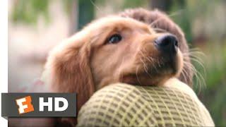 A Dog's Purpose (2017) - I Had a Boy Scene (1/10) | Movieclips