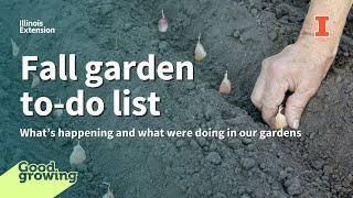 Fall garden to-do list | #GoodGrowing