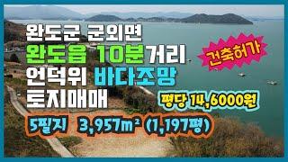 [Any의114부동산] #208 건강의섬 완도군 군외면 바닷가언덕에 건축허가받은토지포함 1,000평 매매.평당14,5000원