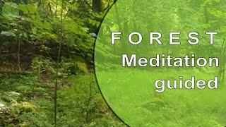 SLEEP MEDITATION guided forest bathing meditation for relaxing & sleep | powerful nature energy