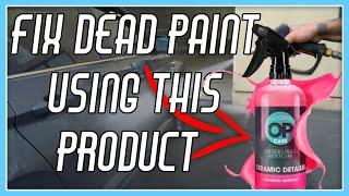 USE THIS PRODUCT ON DEAD PAINT... Owners pride ceramic Detailer.