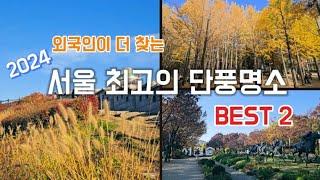 외국보다 더 외국같은 서울 단풍명소 BEST 2//외국인이 몰리는 당일치기 단풍명소(2024년11월15일 촬영)The best 2 Fall Foliage Spots in Seoul