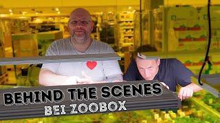 Warum ich NACHTS bei @ZOOBOXde war...| behind the scenes