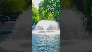 At the park #shortsviral #garden #plantssparkjoy #springtime #fountain