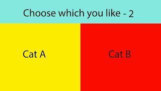 Choose The Cat You Like - 2