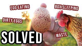 9 Nest Box Issues SOLVED | Egg Eating, Dirty Eggs + More | HenGear Rollout Backyard Chicken Coop