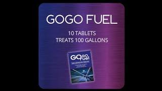GoGoFuel 2024 Wayne Watts