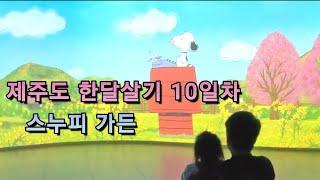 [제주도한달살기10일차]■어니스트밀크&스누피가든■|송아지우유주기체험|제주도가볼만한곳|아빠육아휴직