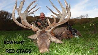 Two Bowhunters two 400+ Red Stags Bowhunting Red Stags New Zealand