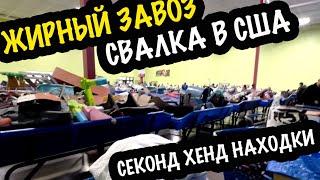 Жирный Завоз из Секондхенда МОИ  Глаза РАЗБЕГАЮТСЯ!! ОБЗОР НАХОДОК #свалка #барахолка #секондхенд