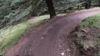 Glentress The Best Trails..