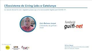 Lluís Dalmau Junyet - Fundació guifi·net