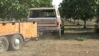 Walnut Harvest At Warfield Farms