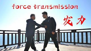 Force transmission  in Martial Arts 1 :Use your whole body!… ? — a 自然门  Ziranmen Series