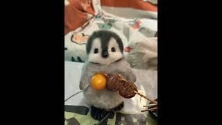 给我家小企鹅宝宝馋哭了！#企鹅宝宝 #企鹅 #萌宠