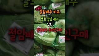 절임배추! 셀프로 절일까, 편하게 살까? 김장김치 고민 끝!