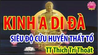 TỤNG KINH A DI ĐÀ( Thế giới CỰC LẠC) có CHỮ TO DỄ ĐỌC| SIÊU ĐỘ CỬU HUYỀN THẤT TỔ| TT Thích Trí Thoát