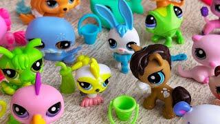 ASMR Littlest Pet Shop Gen 7 Collector Set Unboxing | 18 LPS Bobble Heads #littlestpetshop #lps