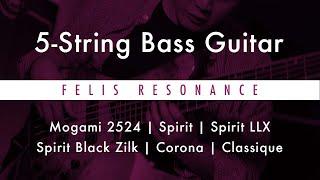 Cables testing on 5 Strings bass by Jonathan Lai
