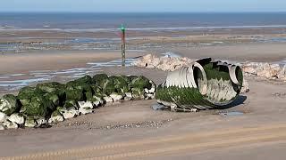 It’s Digger Day! Blue Skies - Sunshine & Beach Works 