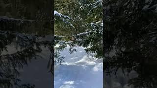 Песня «00:01» — Музыкальная пауза. На всех музыкальных стримингах.