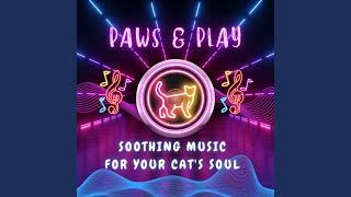 Loving Music for Lap Time