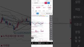 관심 삼보모터스