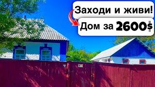  Заходи и живи! Дом в селе за 2600$ Продажа недвижимости за копейки. Всё есть! Уютное тихое село