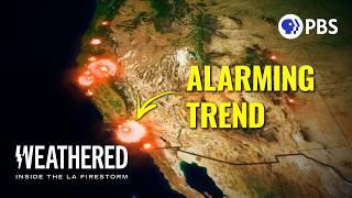 The REAL Story of the LA Fires | Full Documentary
