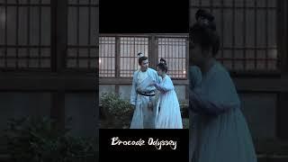  | Brocade Odyssey | YOUKU