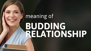 Understanding "Budding Relationships"