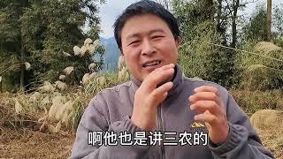 少听网上伪专家忽悠谨慎返乡农村创业，假如你确定返乡你想好了吗