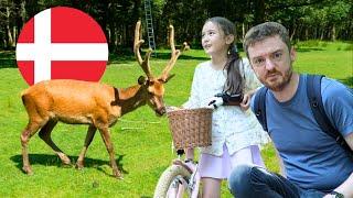 FAMILY Fun at ESBJERG Deer Park (Denmark VLOG 2024)