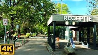 Walking Through Holiday Village Het Vennebos in Hapert, The Netherlands | Landal Greenparks