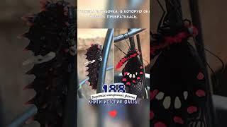 ГУСЕНИЦА И БАБОЧКА, В КОТОРУЮ ОНА В ИТОГЕ ПРЕВРАТИЛАСЬ - КОРОТКИЕ ИНТЕРЕСНЫЕ ФАКТЫ #188